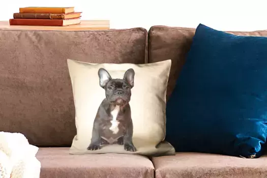 Декоративная подушка MuchoWow, цвет Bunt