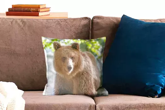 Декоративная подушка MuchoWow, цвет Bunt