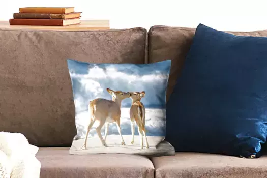 Декоративная подушка MuchoWow, цвет Bunt