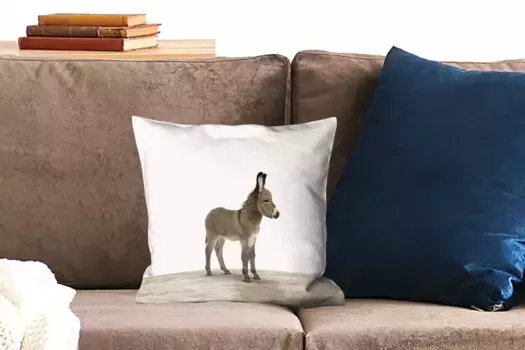 Декоративная подушка MuchoWow, цвет Bunt