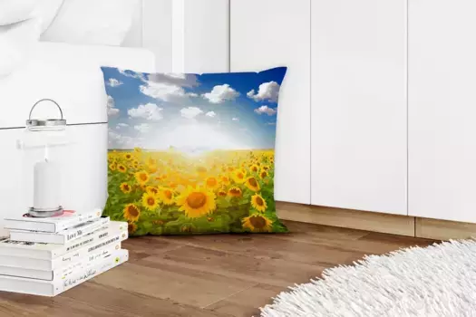 Декоративная подушка MuchoWow, цвет Bunt