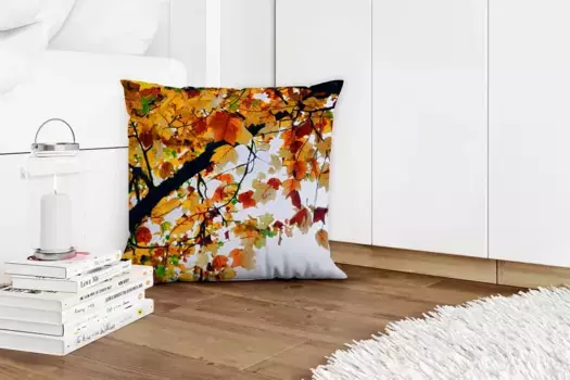 Декоративная подушка MuchoWow, цвет Bunt