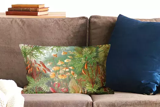 Декоративная подушка MuchoWow, цвет Bunt