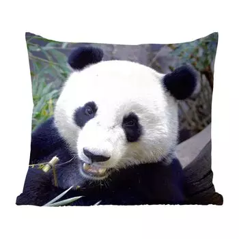Декоративная подушка MuchoWow, диванная подушка, декоративная подушка для гостиной, 60 х 60 см, панда, животное, листья, чехол на подушку, хлопчатобумажная ткань, декоративные чехлы на подушки