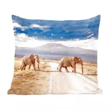 Декоративная подушка MuchoWow, диванная подушка, декоративная подушка для гостиной, 60 х 60 см, пересечение двух слонов - чехол на подушку - хлопчатобумажная ткань - декоративные наволочки