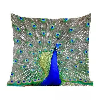 Декоративная подушка MuchoWow, диванная подушка, декоративная подушка для гостиной, 60 х 60 см, павлин - клюв - зеленый - чехол на подушку - хлопчатобумажная ткань - декоративные наволочки