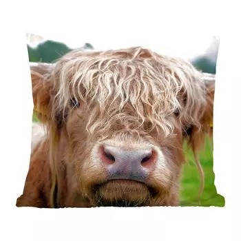 Декоративная подушка MuchoWow, диванная подушка, декоративная подушка для гостиной, 60 x 60 см, корова шотландского горца - пейзаж - крупный план - чехол на подушку - хлопчатобумажная ткань - декоративные наволочки