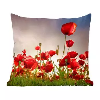 Декоративная подушка MuchoWow, диванная подушка, декоративная подушка для гостиной, 60 х 60 см, красочное небо над маковым полем в Дании - чехол на подушку - хлопчатобумажная ткань - декоративные наволочки
