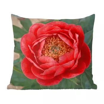 Декоративная подушка MuchoWow, диванная подушка, декоративная подушка для гостиной, 60 х 60 см, красный пион и бутон - чехол на подушку - хлопчатобумажная ткань - декоративные наволочки