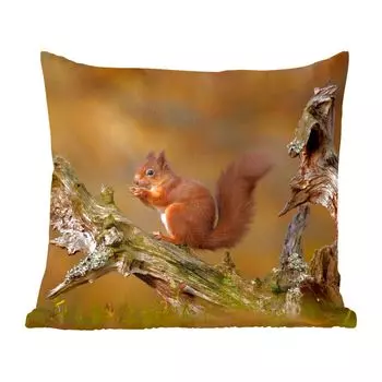 Декоративная подушка MuchoWow, диванная подушка, декоративная подушка для гостиной, 60 х 60 см, красная белка осенью - чехол на подушку - хлопчатобумажная ткань - декоративные чехлы на подушки