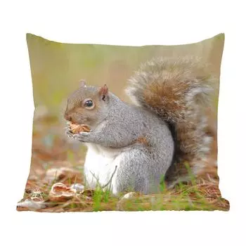 Декоративная подушка MuchoWow, диванная подушка, декоративная подушка для гостиной, 60 х 60 см, белка с арахисом - чехол на подушку - хлопчатобумажная ткань - декоративные наволочки