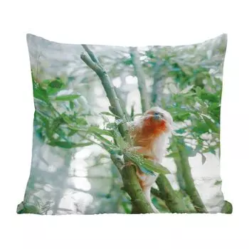 Декоративная подушка MuchoWow, диванная подушка, декоративная подушка для гостиной, 60 х 60 см, карликовая игрунка на дереве - чехол на подушку - хлопчатобумажная ткань - декоративные чехлы на подушки