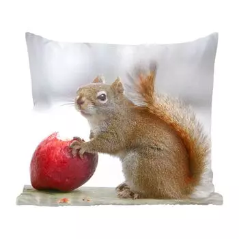 Декоративная подушка MuchoWow, диванная подушка, декоративная подушка для гостиной, 60 х 60 см, белка ест яблоко - чехол на подушку - хлопчатобумажная ткань - декоративные наволочки