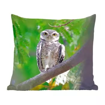 Декоративная подушка MuchoWow, диванная подушка, декоративная подушка для гостиной, 60 х 60 см, сова, сидящая на ветке - чехол на подушку - хлопчатобумажная ткань - декоративные наволочки