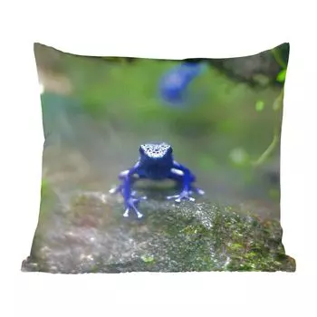 Декоративная подушка MuchoWow, диванная подушка, декоративная подушка для гостиной, 60 х 60 см, синяя лягушка в джунглях - чехол на подушку - хлопчатобумажная ткань - декоративные наволочки