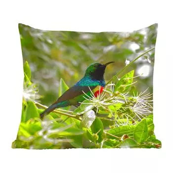 Декоративная подушка MuchoWow, диванная подушка, декоративная подушка для гостиной, 60 х 60 см, птица между листьями в джунглях - чехол на подушку - хлопчатобумажная ткань - декоративные наволочки