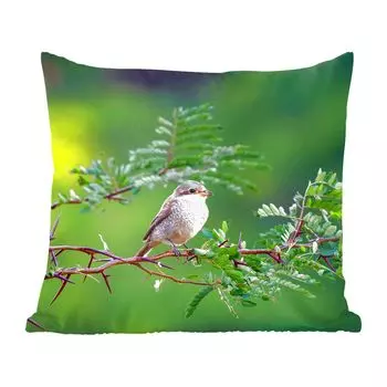 Декоративная подушка MuchoWow, диванная подушка, декоративная подушка для гостиной, 60 х 60 см, птица, дерево, лес, чехол на подушку, хлопчатобумажная ткань, декоративные чехлы на подушки, мультиколор