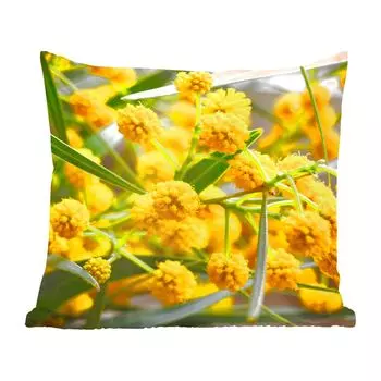 Декоративная подушка MuchoWow, диванная подушка, декоративная подушка для гостиной, 40 х 40 см, цветы мимозы весной - чехлы на диванные подушки - без наполнителя