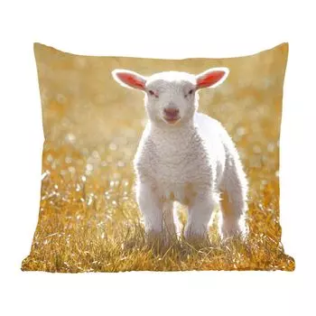 Декоративная подушка MuchoWow, диванная подушка, декоративная подушка для гостиной, 60 х 60 см, ягненок, трава, солнце, чехол на подушку, хлопчатобумажная ткань, декоративные чехлы на подушки