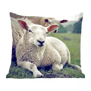 Декоративная подушка MuchoWow, диванная подушка, декоративная подушка для гостиной, 60 х 60 см, овца, ягненок, трава, чехол на подушку, хлопчатобумажная ткань, декоративные чехлы на подушки