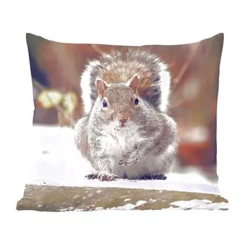 Декоративная подушка MuchoWow, диванная подушка, декоративная подушка для гостиной, 60 х 60 см, белка - дикое животное - зима - чехол на подушку - хлопчатобумажная ткань - декоративные наволочки