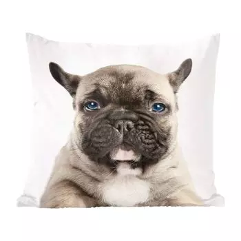 Декоративная подушка MuchoWow, диванная подушка, декоративная подушка для гостиной, 60 х 60 см, портрет щенка французского бульдога - чехол на подушку - хлопчатобумажная ткань - декоративные наволочки