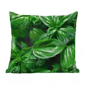 Декоративная подушка MuchoWow, диванная подушка, декоративная подушка для гостиной, 50 х 50 см, листья базилика крупным планом - чехлы на подушки - украшение - спальня