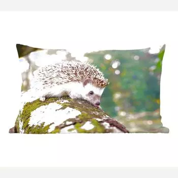 Декоративная подушка MuchoWow, диванная подушка, декоративная подушка для гостиной, 50 х 30 см, ползущий по ветке ёжик - чехлы для диванных подушек - без наполнителя