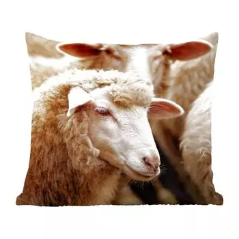 Декоративная подушка MuchoWow, диванная подушка, декоративная подушка для гостиной, 60 х 60 см, овца, шерсть, белый, чехол на подушку, хлопчатобумажная ткань, декоративные чехлы на подушки, мультиколор