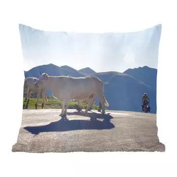 Декоративная подушка MuchoWow Диванная подушка Декоративная подушка для гостиной 60 x 60 см Шотландский горец - Свет - Горы - Природа - Чехол на подушку - Хлопчатобумажная ткань - Декоративные наволочки