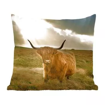 Декоративная подушка MuchoWow Диванная подушка Декоративная подушка для гостиной 60 x 60 см Шотландский горец - Солнце - Трава - Чехол на подушку - Хлопчатобумажная ткань - Декоративные наволочки