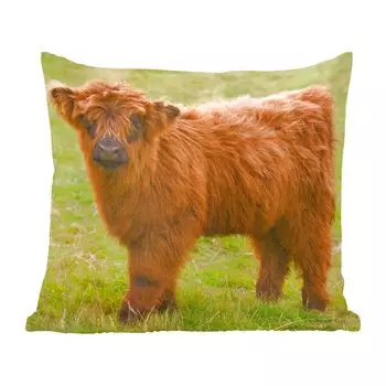 Декоративная подушка MuchoWow Диванная подушка Декоративная подушка для гостиной 60 x 60 см Шотландский горец - Легкий вес - Пальто - Чехол на подушку - Хлопчатобумажная ткань - Декоративные наволочки