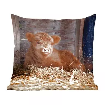 Декоративная подушка MuchoWow Диванная подушка Декоративная подушка для гостиной 60 x 60 см Шотландский горец - Ферма - Солома - Чехол на подушку - Хлопчатобумажная ткань - Декоративные наволочки