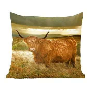 Декоративная подушка MuchoWow Диванная подушка Декоративная подушка для гостиной 50 x 50 см Шотландский горец - Свет - Природа - Наволочки - Украшение - Спальня