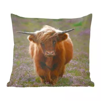 Декоративная подушка MuchoWow, диванная подушка, декоративная подушка для гостиной, 60 х 60 см, шотландские горцы - пустошь - животные - чехол на подушку - хлопчатобумажная ткань - декоративные наволочки