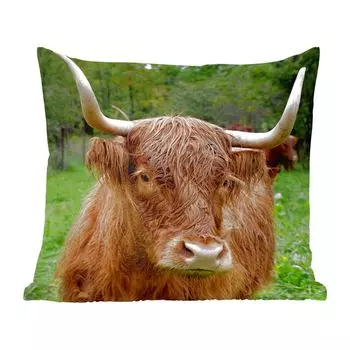Декоративная подушка MuchoWow Диванная подушка Декоративная подушка для гостиной 60 x 60 см Шотландский горец - Животные - Трава - Наволочка - Хлопчатобумажная ткань - Декоративные наволочки, мультиколор