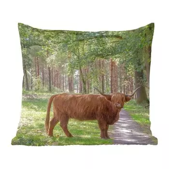 Декоративная подушка MuchoWow Диванная подушка Декоративная подушка для гостиной 50 x 50 см Шотландский горец - Жаба - Дерево - Чехлы на подушки - Украшение - Спальня