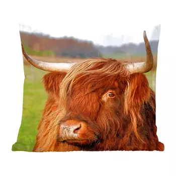 Декоративная подушка MuchoWow Диванная подушка Декоративная подушка для гостиной 60 x 60 см Шотландский горец - Трава - Дерево - Чехол на подушку - Хлопчатобумажная ткань - Декоративные наволочки