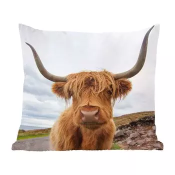 Декоративная подушка MuchoWow Диванная подушка Декоративная подушка для гостиной 60 x 60 см Шотландский горец - Рога - Гора - Чехол на подушку - Хлопчатобумажная ткань - Декоративные наволочки, мультиколор