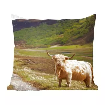 Декоративная подушка MuchoWow Диванная подушка Декоративная подушка для гостиной 60 x 60 см Шотландский горец - Тропа - Лес - Чехол на подушку - Хлопчатобумажная ткань - Декоративные наволочки
