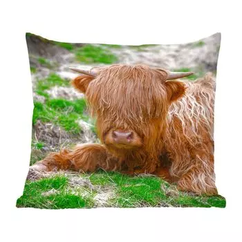 Декоративная подушка MuchoWow Диванная подушка Декоративная подушка для гостиной 50 x 50 см Шотландский горец - Сено - Трава - Наволочки - Украшение - Спальня