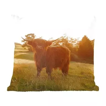 Декоративная подушка MuchoWow Диванная подушка Декоративная подушка для гостиной 60 x 60 см Шотландский горец - Трава - Солнце - Чехол на подушку - Хлопчатобумажная ткань - Декоративные наволочки