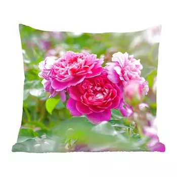 Декоративная подушка MuchoWow, диванная подушка, декоративная подушка для гостиной, 60 х 60 см, на даче растут розовые розы - чехол на подушку - хлопчатобумажная ткань - декоративные наволочки