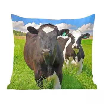 Декоративная подушка MuchoWow, диванная подушка, декоративная подушка для гостиной, 60 х 60 см, коровы, трава, природа, животные, чехол на подушку, хлопковая ткань, декоративные чехлы на подушки