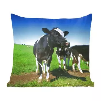 Декоративная подушка MuchoWow, диванная подушка, декоративная подушка для гостиной, 45x45 см, коровы - трава - животные