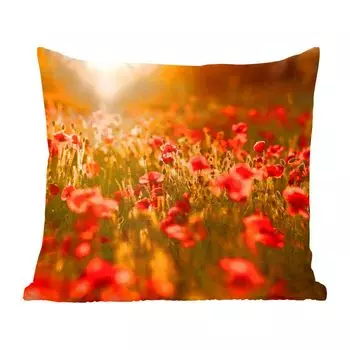 Декоративная подушка MuchoWow, диванная подушка, декоративная подушка для гостиной, 60 х 60 см, оранжевое сияние над маками в поле - чехол на подушку - хлопчатобумажная ткань - декоративные наволочки