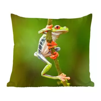 Декоративная подушка MuchoWow, диванная подушка, декоративная подушка для гостиной, 60 х 60 см, красноглазая древесная лягушка в джунглях - чехол на подушку - хлопчатобумажная ткань - декоративные чехлы на подушки