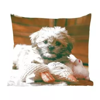 Декоративная подушка MuchoWow Диванная подушка Декоративная подушка для гостиной 60 x 60 см Собака Ши-тцу, обнимающаяся на полу - Чехол на подушку - Хлопчатобумажная ткань - Декоративные наволочки