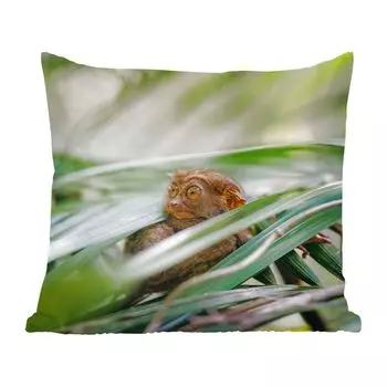 Декоративная подушка MuchoWow, диванная подушка, декоративная подушка для гостиной, 60 x 60 см, филиппинское духовное животное в середине листьев - чехол на подушку - хлопчатобумажная ткань - декоративные чехлы на подушки