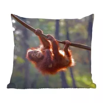 Декоративная подушка MuchoWow, диванная подушка, декоративная подушка для гостиной, 60 х 60 см, молодой орангутан, висящий на ветке - чехол на подушку - хлопчатобумажная ткань - декоративные наволочки